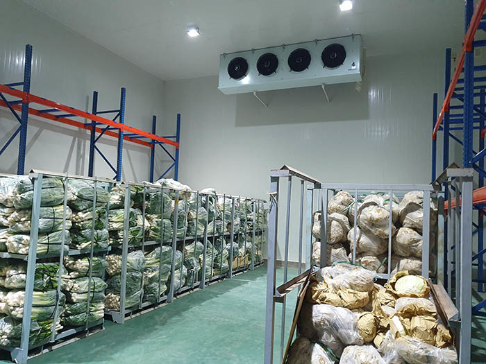 Cho thuê kho đông lạnh bảo quản thực phẩm tại Đà Nẵng