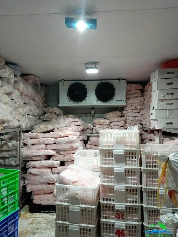 Thu mua kho đông lạnh giá cao tại Đà Nẵng
