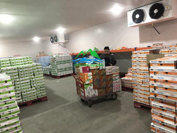 Kho đông lạnh bảo quản thực tươi sạch